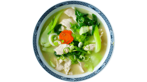 A_10 Udon Nudeln
