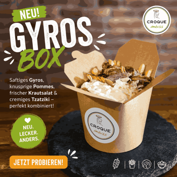 G1 Gyros Box G1 Gyros Box