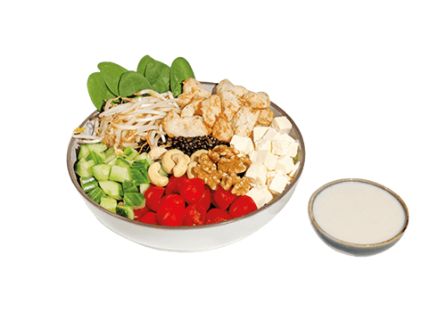 Protein Boost 20