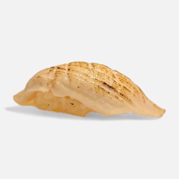 white tuna aburi