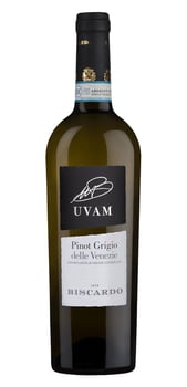 Pinot Grigio delle Venezie 75 cl DOC UVAM 2024