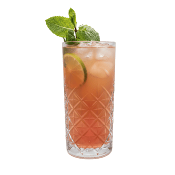 Erdbeer-Zitronen-Limonade 0,4L