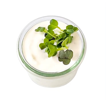 Sour Cream Sour Cream