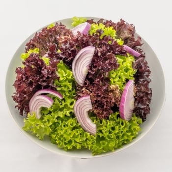 Grüner Salat Grüner Salat