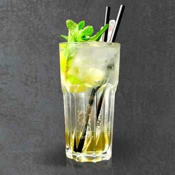 Holunder Limette Minze 0,5l Holunder Limette Minze 0,5l