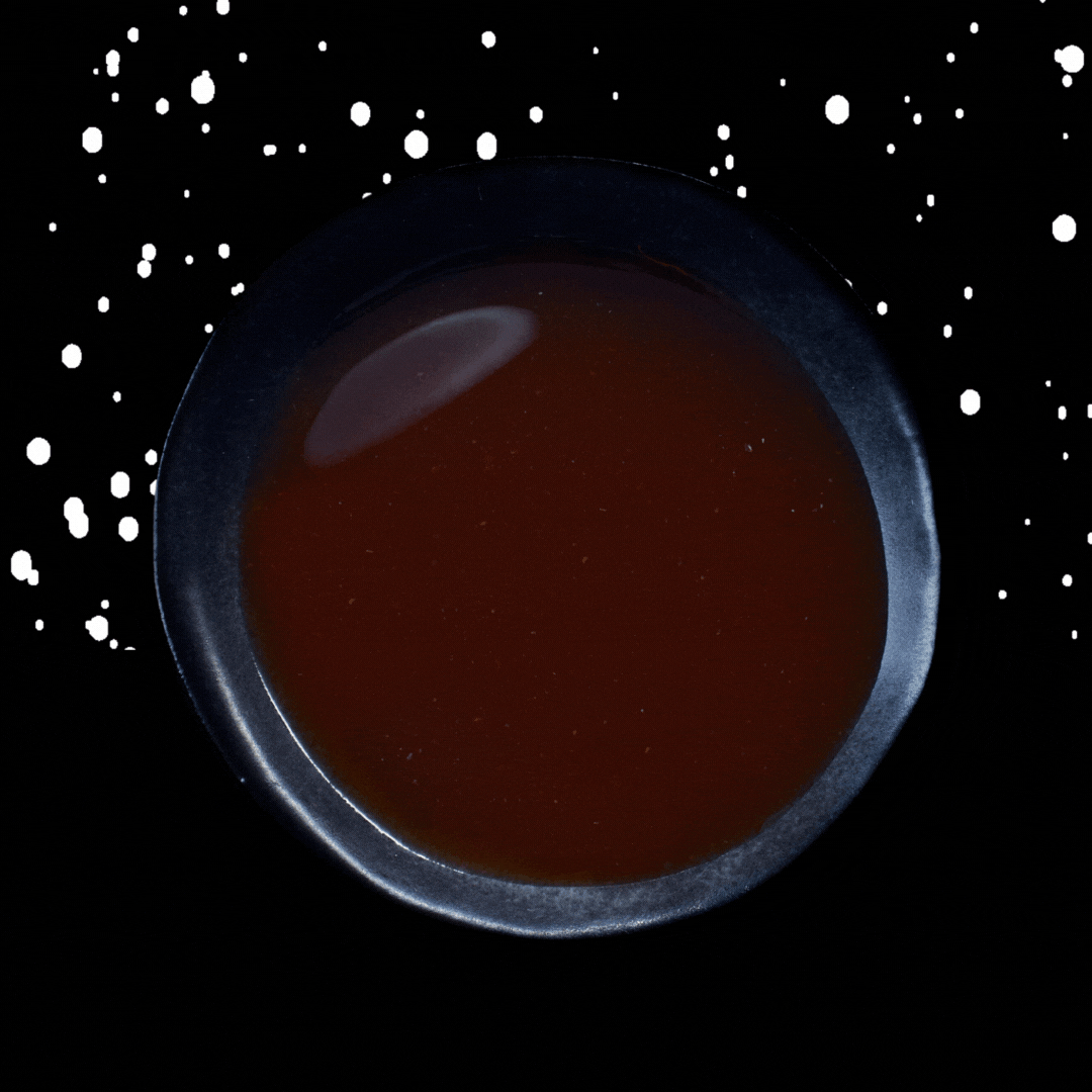 WARME TRÜFFEL PONZU SAUCE