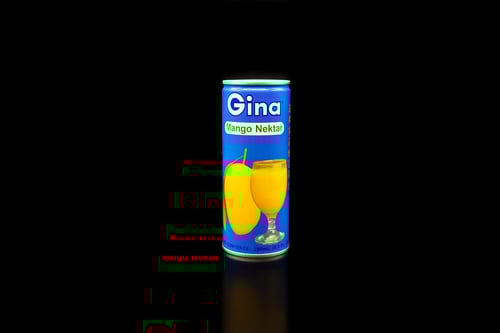 GINA Asiatische Mango Nektar 0,25l