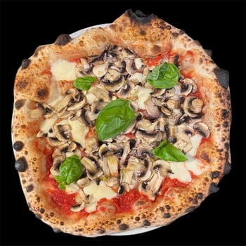 Pizza Funghi