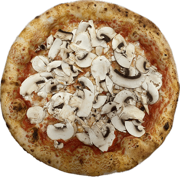 Funghi Funghi