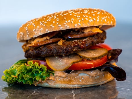 Hotdog Burger Hotdog Burger