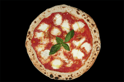 Pizza Margherita Pizza Margherita