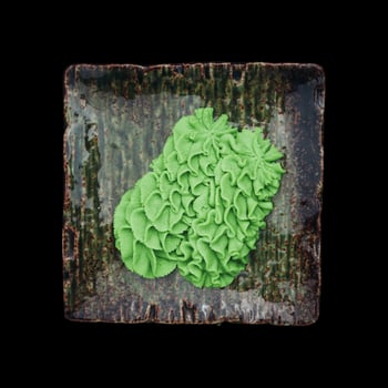 Wasabi