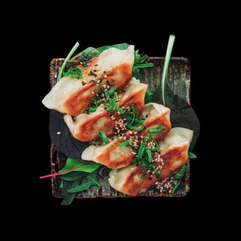 Chicken Gyoza  