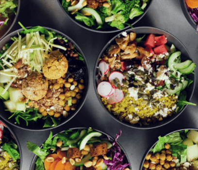 Caternigbox Bowls