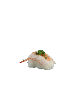 Ebi Aburi Nigiri