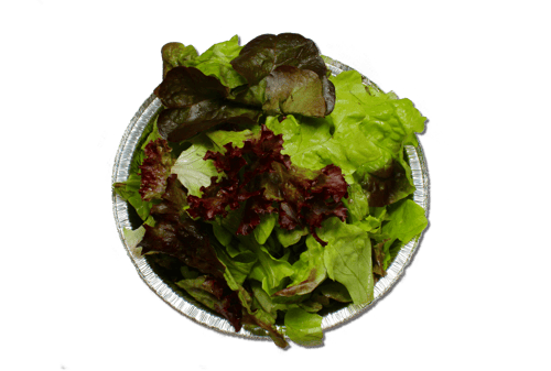 Beilagen Salat