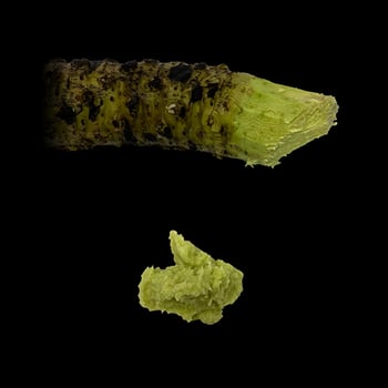Frischer Wasabi Frischer Wasabi