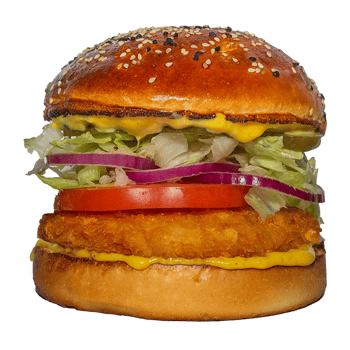 Chicken Burger Chicken Burger