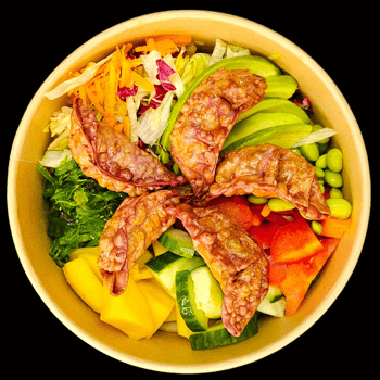  POKE GYOZA ENTE