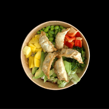 Poke Bowl mit Gyoza Chichen