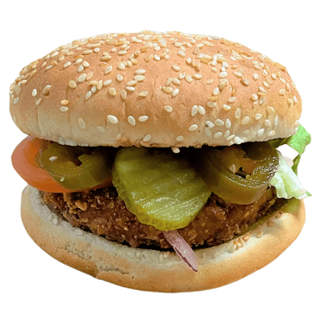 Vegan-Salsa-Burger
