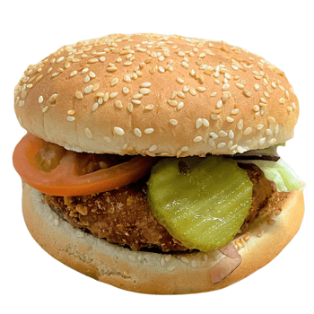 Vegan-Hamburger 
