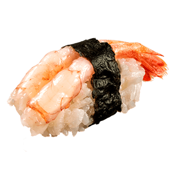 Ama Ebi Nigiri Ama Ebi Nigiri