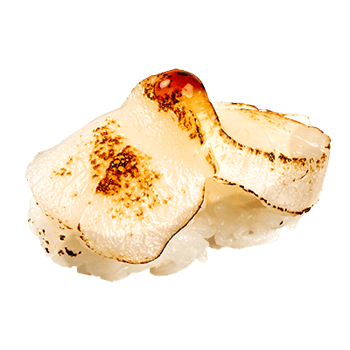 Hotategai-Aburi Nigiri