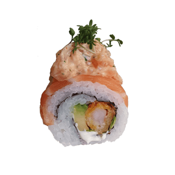 Cats favourite meets Lachs Roll