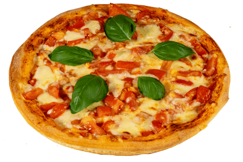 Pizza Tomate & Mozzarella Single