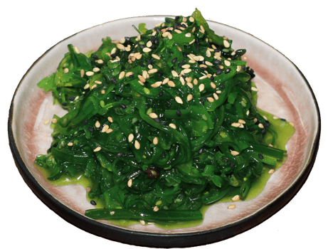 1 Grüner Algensalat 1 Grüner Algensalat