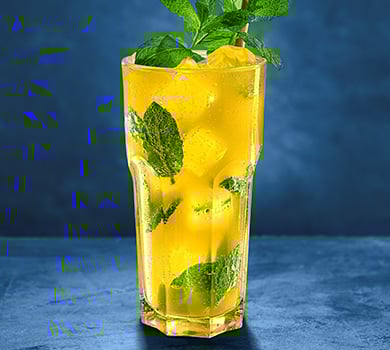 Durstlöscher Mango-Minze 0,5l
