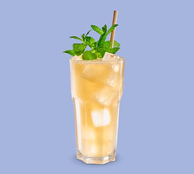Durstlöscher Apfel-Rhabarber 0,5l