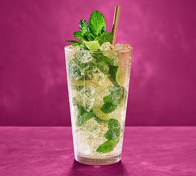 Fl. Mojito 0,4l 
