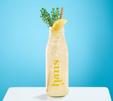 Fl. Limo Anis-Zitrone 0,5l
