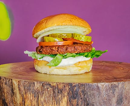 Vegan Burger Vegan Burger