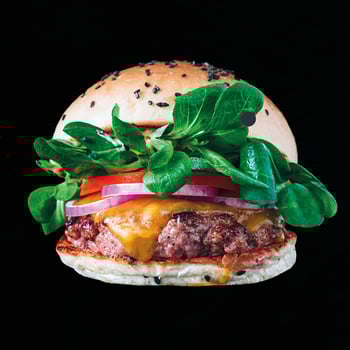 Cheeseburger