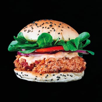 Japanese Chicken Burger