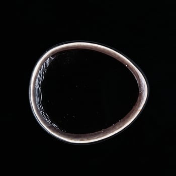 Teriyaki Sauce