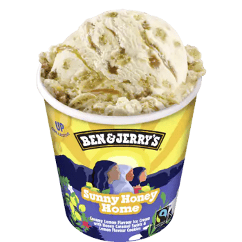 Ben & Jerry's Sunny Honey Home 465ml