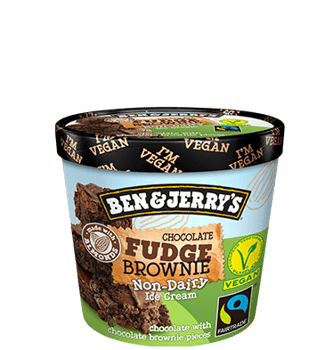 Ben & Jerry's Chocolate Fudge Brownie vegan