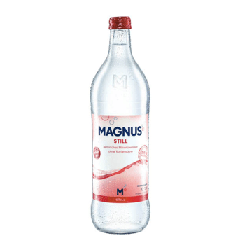 Wasser Still 0,7l