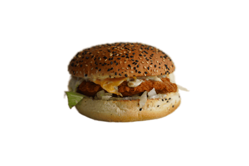 Hot & Spicy Chicken Burger 