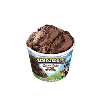 Ben & Jerry’s Chocolate Fudge Brownie 100ml