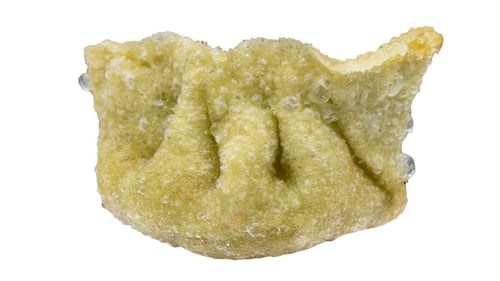 Gyoza vegan (4 Stück)