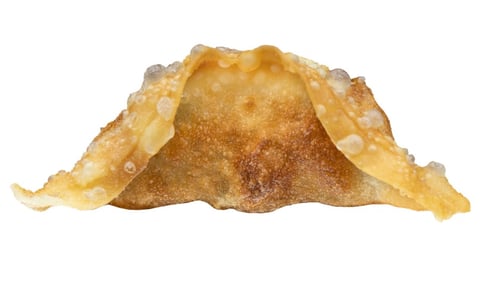 Gyoza Huhn (4 Stück)