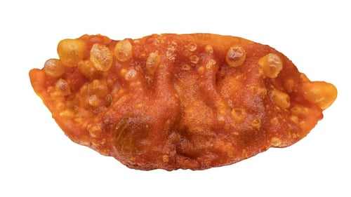 Gyoza Kimchi (4 Stück)