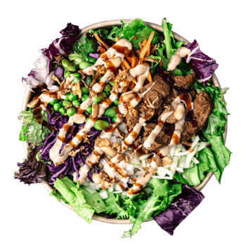 Teriyaki Salat Teriyaki Salat
