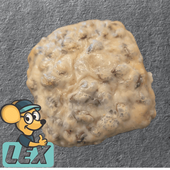 Käse- Kürbiskernbrötchen