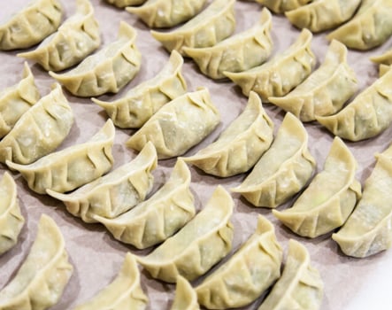 Soja Tofu Gemüse Dumplings 5 Stk (A,F,N)
